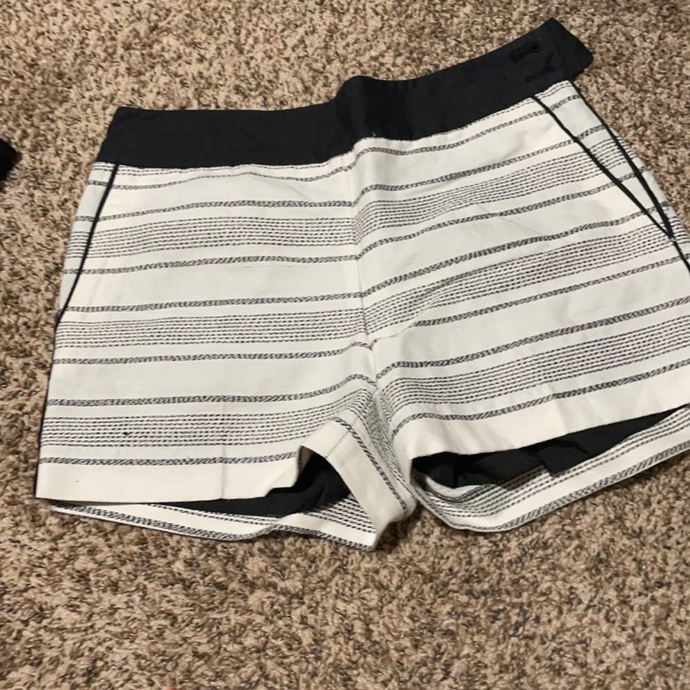 Black & White Ann Taylor Shorts